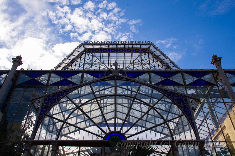 Glasshouse, Adelaide Botanic Gardens IMGP8841.jpg